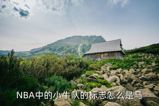 NBA中的小牛隊的標志怎么是馬