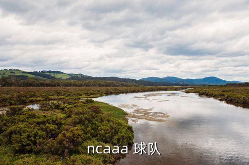圣十字是哪個(gè)球隊(duì),克蘇魯之盾加入ncaa需要四名學(xué)生運(yùn)動(dòng)隊(duì)