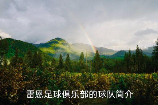  雷恩足球俱樂(lè)部的球隊(duì)簡(jiǎn)介