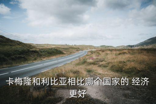 波黑和尼日尼亞哪個經(jīng)濟好,利比亞是一國，卡梅倫是一個人