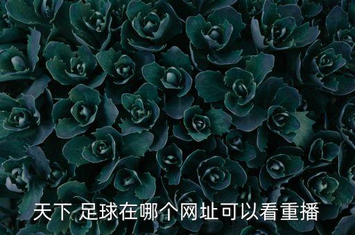 天下 足球在哪個網(wǎng)址可以看重播