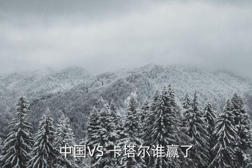 中國VS 卡塔爾誰贏了