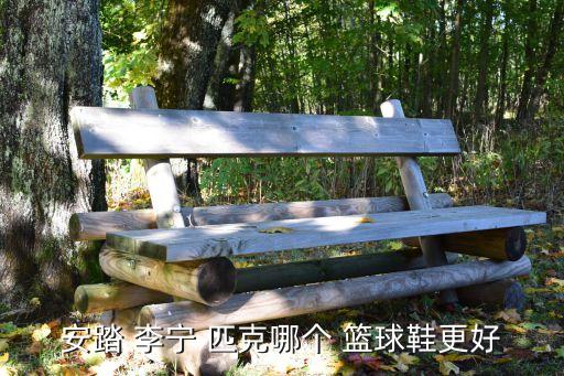 安踏 李寧 匹克哪個 籃球鞋更好