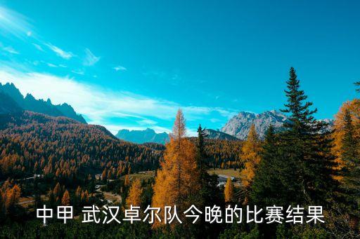 中甲 武漢卓爾隊今晚的比賽結(jié)果
