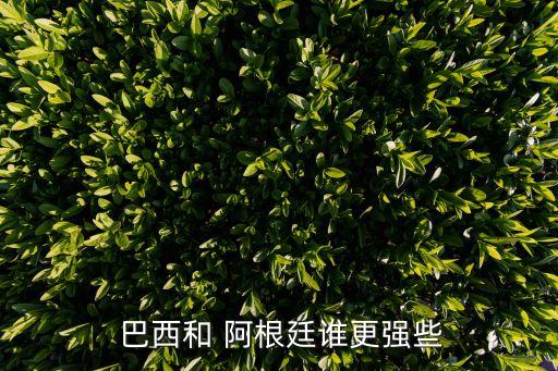  巴西和 阿根廷誰更強(qiáng)些
