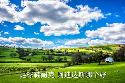  足球鞋耐克 阿迪達(dá)斯哪個(gè)好