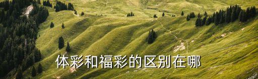 體彩福彩足彩哪個更公正,福彩和體彩的區(qū)別