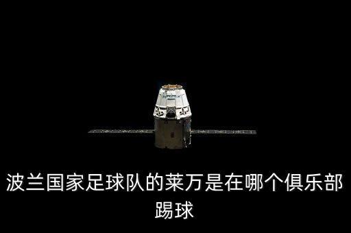 波蘭國(guó)家足球隊(duì)的萊萬(wàn)是在哪個(gè)俱樂(lè)部踢球