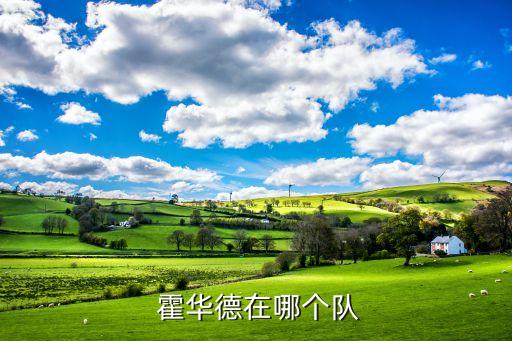  霍華德在哪個隊