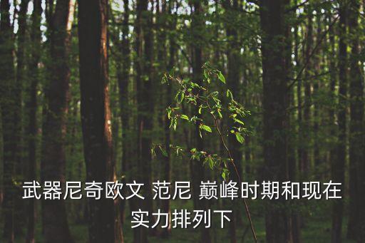 武器尼奇歐文 范尼 巔峰時期和現(xiàn)在實力排列下