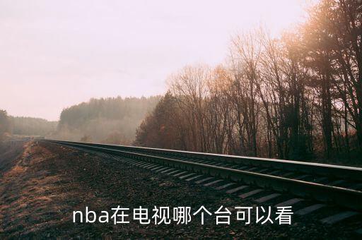 臺灣哪個臺可以看nba,nba在央視播出第二場
