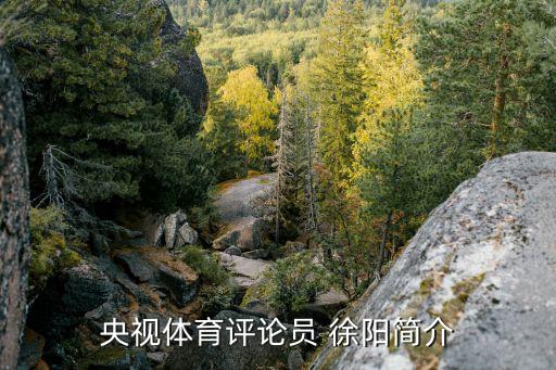 央視體育評(píng)論員 徐陽簡(jiǎn)介