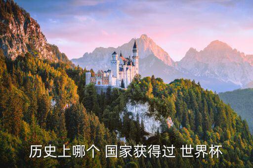 歷史上哪個(gè) 國(guó)家獲得過 世界杯