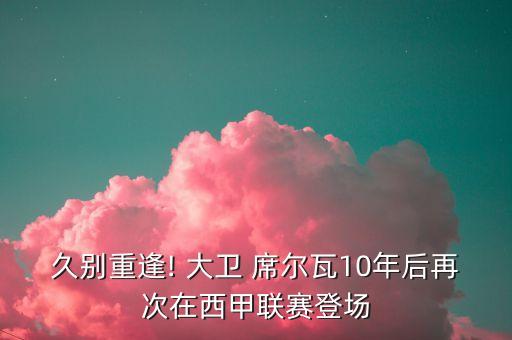 大衛(wèi)席爾瓦哪個賽季好,大衛(wèi)席爾瓦回歸西甲上演回歸首秀
