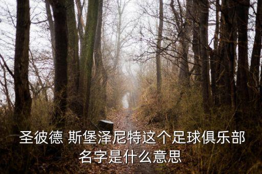  圣彼德 斯堡澤尼特這個(gè)足球俱樂部名字是什么意思