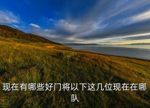 現(xiàn)在有哪些好門將以下這幾位現(xiàn)在在哪隊