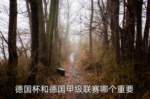 德國杯和德國甲級聯(lián)賽哪個(gè)重要