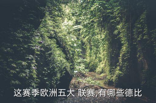 雷恩踢哪個聯(lián)賽,歐冠杯:利物浦和巴黎圣日耳曼晉級歐洲杯決賽