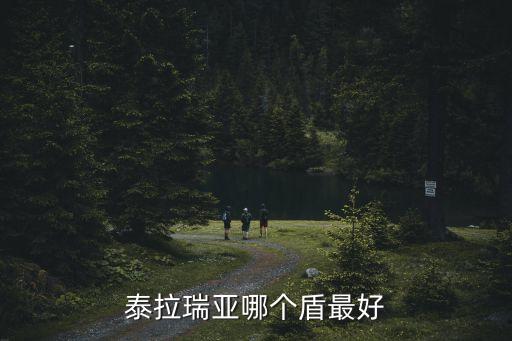 泰拉瑞亞哪個盾最好