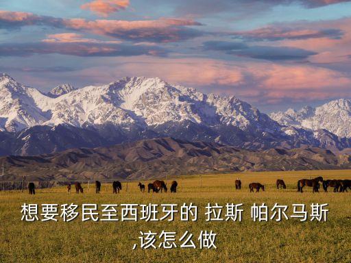 想要移民至西班牙的 拉斯 帕爾馬斯,該怎么做
