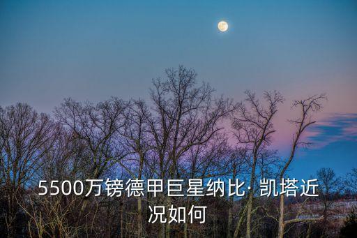 凱塔是哪個(gè)位置,轉(zhuǎn)會(huì)費(fèi)5500萬歐元?jiǎng)P塔或戰(zhàn)勝布隆迪