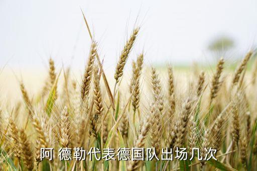 阿德勒現(xiàn)在在哪個隊,一直不敢接球德國門將a德勒算好門將
