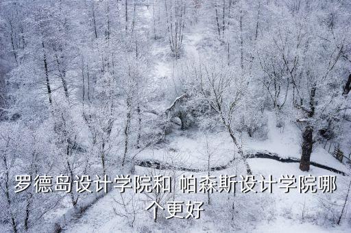 阿里扎和帕森斯哪個(gè)好,貝克漢姆大兒子學(xué)攝影專業(yè)排名第三