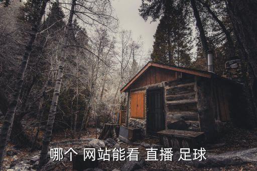 哪個 網(wǎng)站能看 直播 足球
