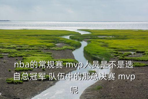 nba的常規(guī)賽 mvp人員是不是選自總冠軍 隊伍中的那總決賽 mvp呢