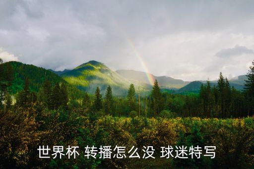 世界杯 轉播怎么沒 球迷特寫