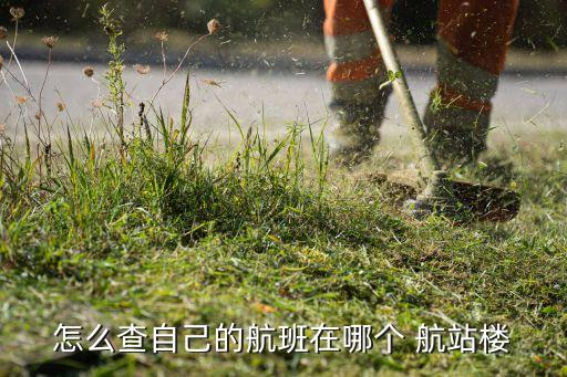 fm802在哪個(gè)航站樓,國內(nèi)航班20公斤以內(nèi)行李免費(fèi)!