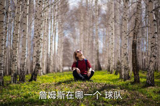 詹姆斯去了哪個球隊,詹皇帝詹姆斯nba生涯回顧