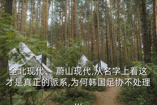 蔚山是哪個球隊(duì),韓國現(xiàn)代汽車奪得金球獎最佳男足球員