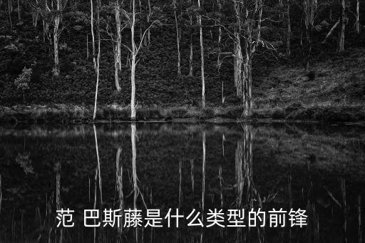 范 巴斯藤是什么類型的前鋒