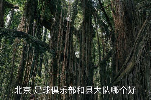 北京 足球俱樂部和縣大隊哪個好