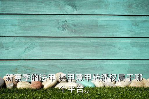新賽季的法甲 德甲意甲轉(zhuǎn)播權(quán)屬于哪個(gè)平臺,,