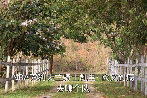 NBA克利夫蘭騎士凱里· 歐文到底去哪個(gè)隊(duì)