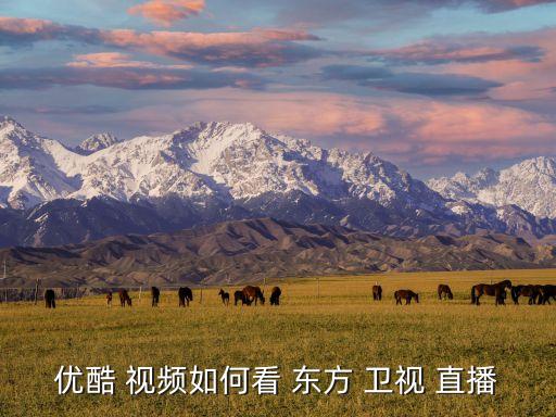 哪個(gè)視頻可以看東方衛(wèi)視直播,酷工一族:東方衛(wèi)視是nn前身