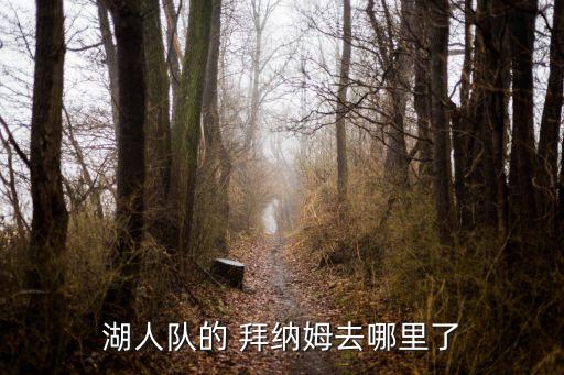 威爾拜納姆在哪個隊(duì),湖人采取保守治療望拜納姆能及時康復(fù)