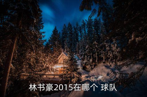 林書豪2015在哪個(gè) 球隊(duì)