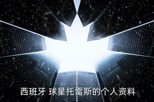  西班牙 球星托雷斯的個人資料