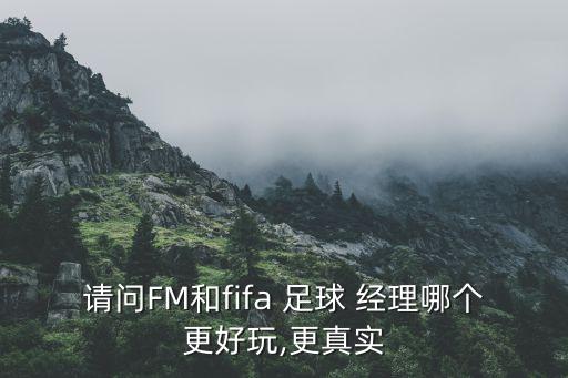 足球經(jīng)理哪個版本,fifa足球經(jīng)理系列游戲你是否是球員?
