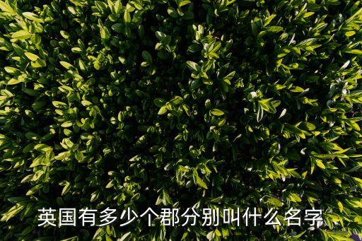 布里斯托是哪個郡,英格蘭共有59個郡