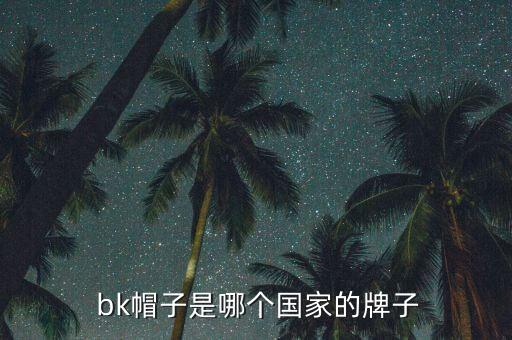 bk是哪個球隊,裂，裂；是可數(shù)名詞也是機會的意思