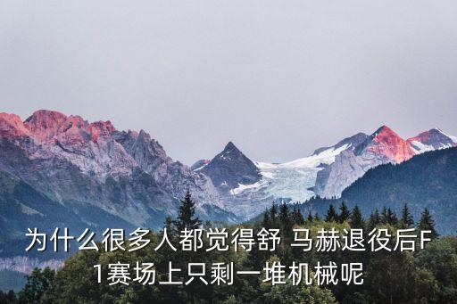 為什么很多人都覺得舒 馬赫退役后F1賽場(chǎng)上只剩一堆機(jī)械呢