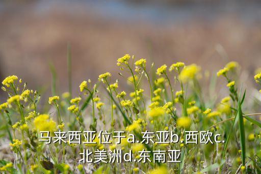  馬來西亞位于a.東亞b.西歐c.北美洲d.東南亞