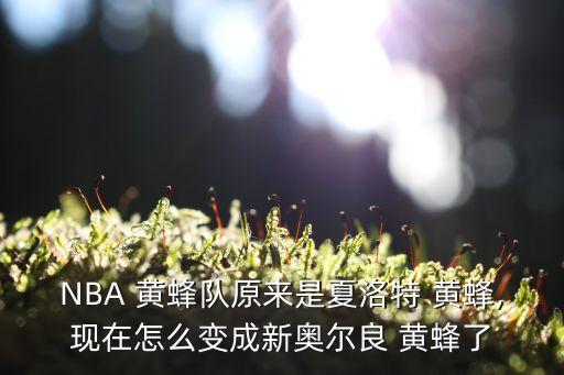 現(xiàn)在的黃蜂隊(duì)原來(lái)是哪個(gè)隊(duì),前新奧爾良黃蜂隊(duì)更名為鵜鶘隊(duì)