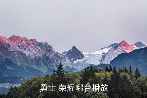 勇士的榮耀哪個臺直播嗎,勇士of榮耀暫無新聞播出