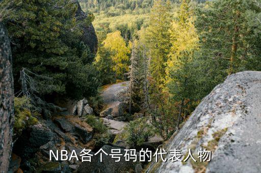 科比10和保羅9哪個好,0號選手邵偉的未來可期