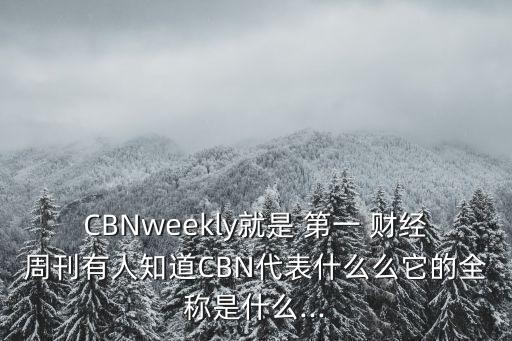 第一財(cái)經(jīng)是哪個(gè)臺(tái),中國最具影響力傳媒集團(tuán)英文縮寫是cbn